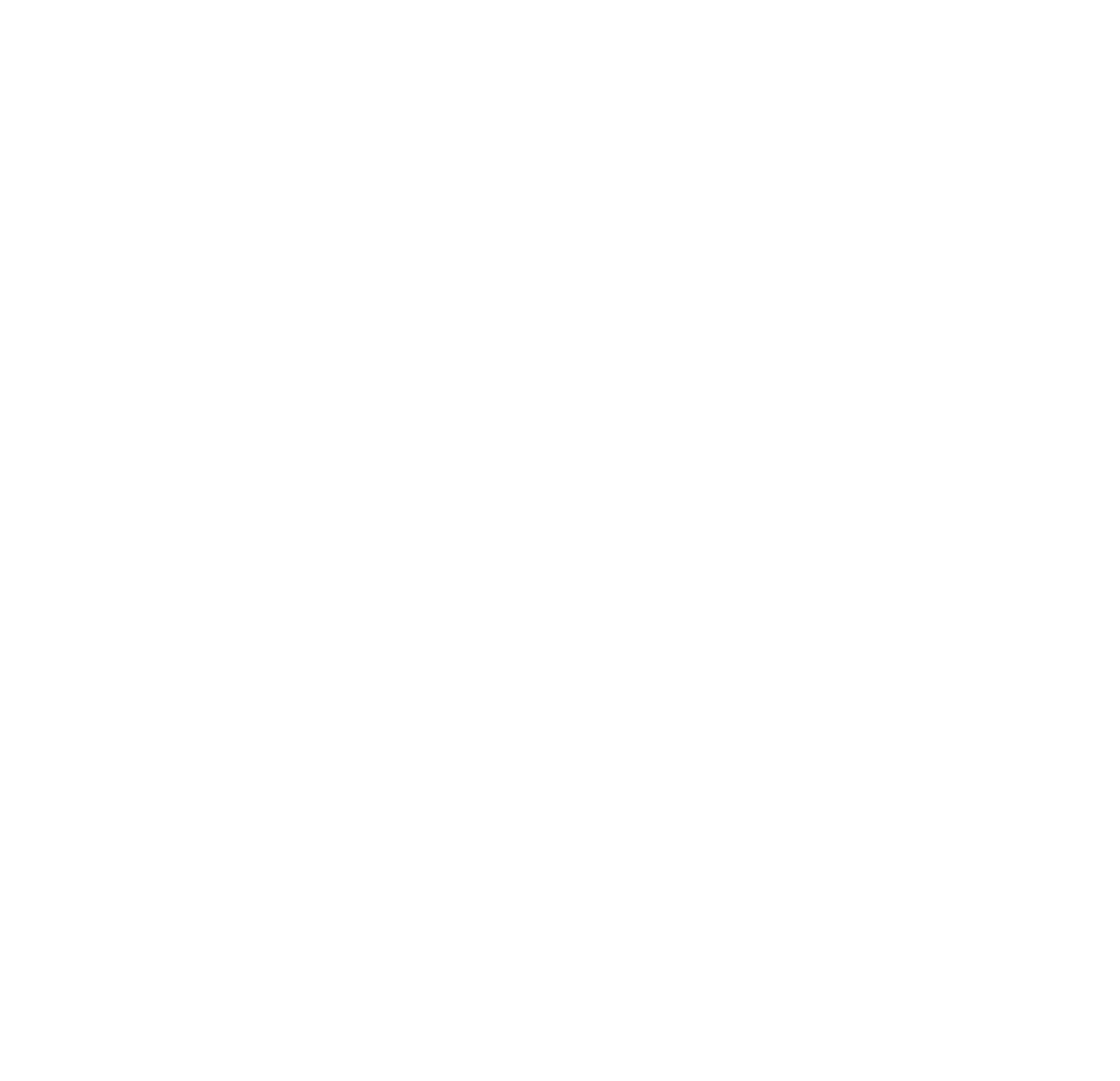 Dock Hollins Logo White